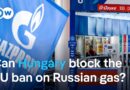 How the EU plans to protect its ban on Russian gas imports from a challenge from Hungary | DW News