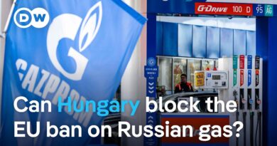 How the EU plans to protect its ban on Russian gas imports from a challenge from Hungary | DW News