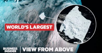 How The World Changed In 2025 | View From Above