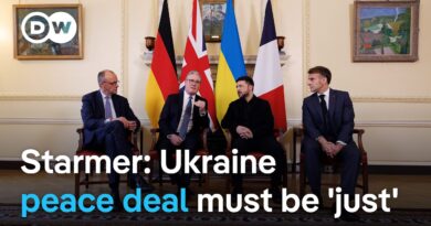 How US pressure on Ukraine to accept deal has shaped Zelenskyy’s talks with European leaders
