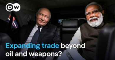 How will India and Russia expand trade beyond fuel and defense? | DW News