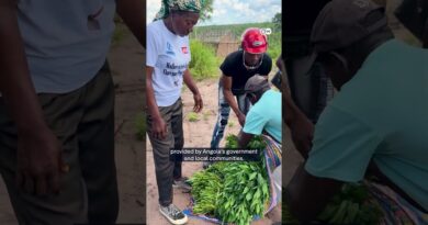 Humanitarian aid crisis hits Angola | DW News