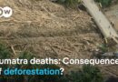 Hundreds confirmed dead as Sumatra death toll rises | DW News