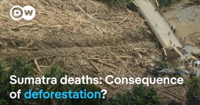 Hundreds confirmed dead as Sumatra death toll rises | DW News