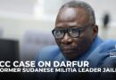 ICC sentences Sudan militia-leading ‘axeman’ Rahman to 20 years