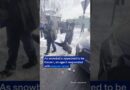 ICE agents drag woman through snow in Minneapolis, confronted by prostesters | DW News