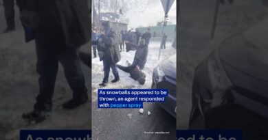 ICE agents drag woman through snow in Minneapolis, confronted by prostesters | DW News
