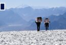Ice cores reveal secrets behind world’s only growing glacier