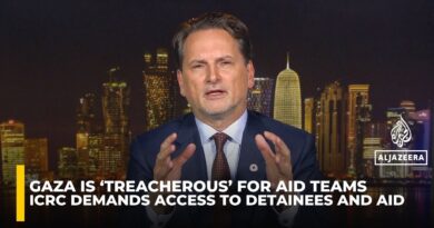 ICRC director warns world must act to protect civilians in Gaza