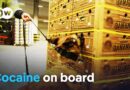 In the hands of the cocaine mafia – How European ports are being infiltrated | DW Documentary