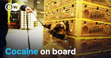 In the hands of the cocaine mafia – How European ports are being infiltrated | DW Documentary