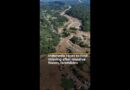 Indonesia races to find missing after massive floods, landslides | #ajshorts