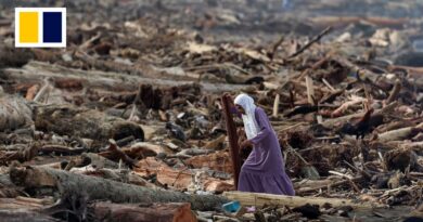 Indonesian mother and child cling to tree to survive floods