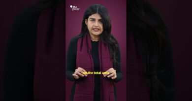 Is the Aravalli Range Protected Now? Govt’s Key Claims Debunked | The Quint