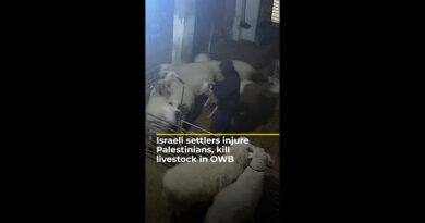 Israeli settlers injure Palestinians, kill livestock in OWB | AJ#shorts