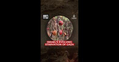 Israel’s Evolving Starvation of Gaza