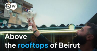 Lebanon’s ancient pigeon game | DW Documentary