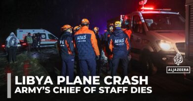Libyan army chief dies in plane crash near Turkiye’s capital