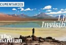 Life Invisible: the fight against superbugs starts in the driest place on Earth | Documentary