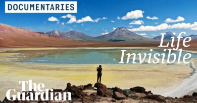 Life Invisible: the fight against superbugs starts in the driest place on Earth | Documentary