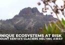 Loss of glaciers puts Mount Kenya’s unique ecosystems at risk