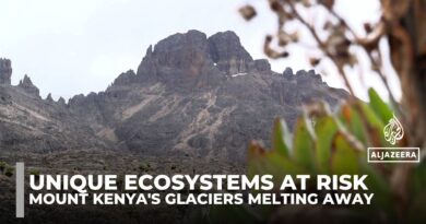 Loss of glaciers puts Mount Kenya’s unique ecosystems at risk