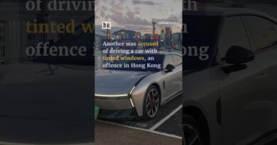 Mainland Chinese drivers hit bumps navigating Hong Kong roads