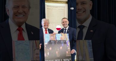 Make Europe Great Again? The US’s influence on Europe’s far right | DW News