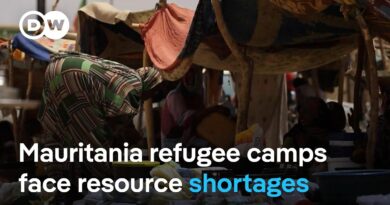 Malians recount beheadings and burnings by armed groups, seek refuge in east Mauritania | DW News