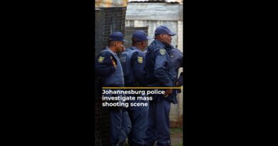 Manhunt under way in South Africa after mass shooting in Johannesburg | AJ#shorts