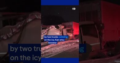 Massive pile up involving more than 50 vehicles in Japan | DW News