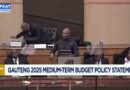 MEC Maile delivers Gauteng’s medium term budget policy (full speech)