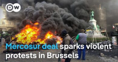 Mercosur trade deal on ice: what does it mean for South American countries in the group? | DWNews