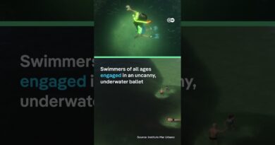 Millions of anchovies swarm Rio’s Copacabana Beach | DW News