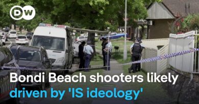 New details emerge about Bondi Beach attack suspects | DW News