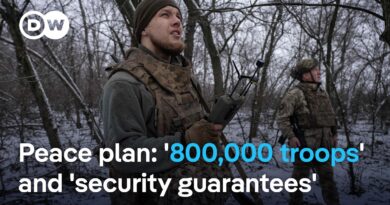 No consensus on ceding territory in US-Ukraine draft of 20-point peace plan | DW News