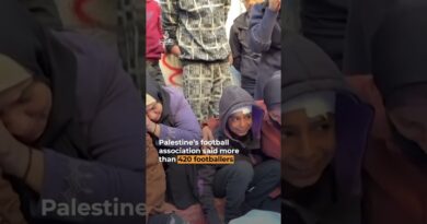 Palestine is on a historic run in the Arab Cup, amidst Gaza devastation