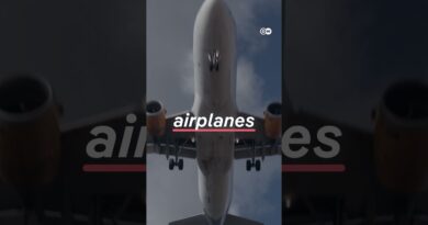 Peak oil in 2030? | DW News