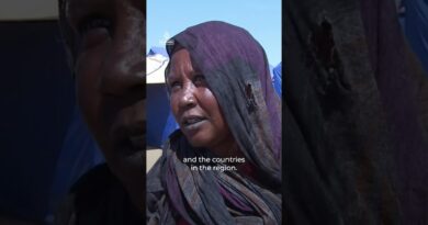 People sheltering at Sudan displacement camp say they ’pray for peace’ | AJ #shorts