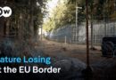 Poland’s EU border: A threat to nature and people | DW News