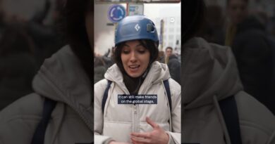 Police deploy tear gas on farmers protesting Mercosur trade deal in Brussels | DW News