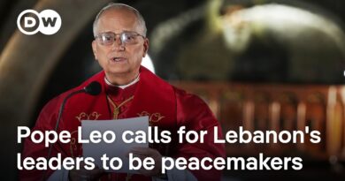 Pope Leo affirms support for two-state solution during trip to Lebanon | DW News