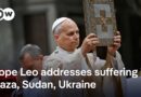 Pope Leo urges Russia and Ukraine to find courage to engage in direct talks | DW News