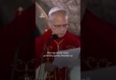 Pope Leo XIV prays for peace in Lebanon and the Levant | AJ #shorts