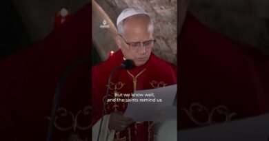 Pope Leo XIV prays for peace in Lebanon and the Levant | AJ #shorts