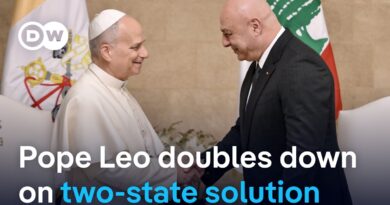 Pope Leo XIV reaffirms two-state solution during visit to Lebanon | DW News