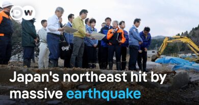Powerful 7.6 magnitude earthquake hits Japan’s northeast, sparking tsunami warnings | DW News