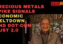 PRECIOUS METALS SPIKE SIGNALS ECONOMIC MELTDOWN AND DOT-COM BUST 2.0