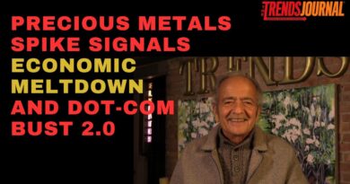 PRECIOUS METALS SPIKE SIGNALS ECONOMIC MELTDOWN AND DOT-COM BUST 2.0