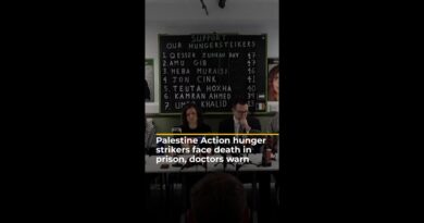 Pro-Palestinian hunger strikers face death in jail, doctors say | AJ #shorts